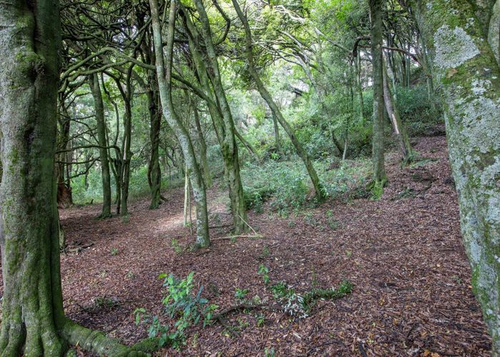  at 137 Kiritaki Road, Dannevirke