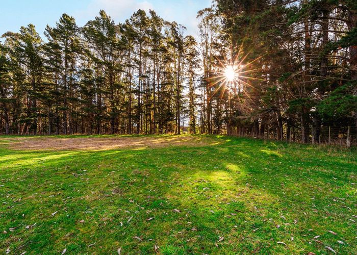  at 1777 Broadlands Road, Broadlands Forest, Taupo, Waikato
