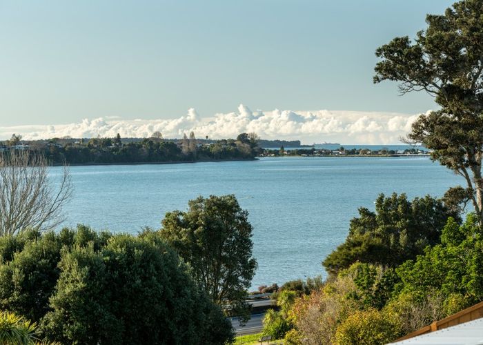  at 89 Sixth Avenue, Tauranga, Tauranga
