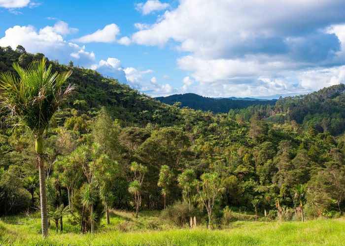  at 542 Duddy Road, Rawene, Far North, Northland