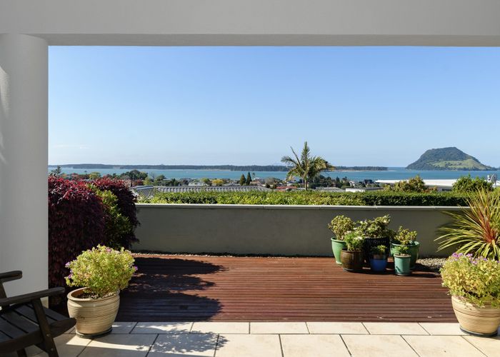  at 8B Hinewa Road, Otumoetai, Tauranga, Bay Of Plenty