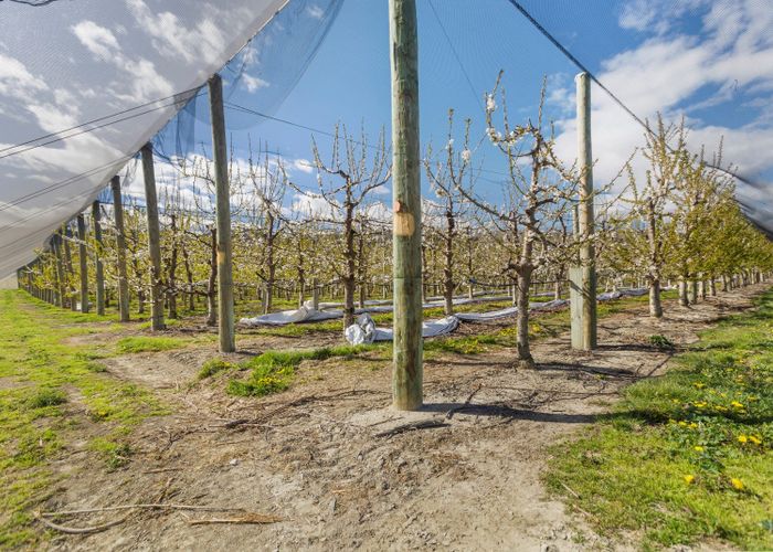  at Smiths Way, Cromwell, Central Otago, Otago