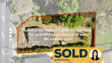  at 114 Don Buck Road, Massey, Auckland