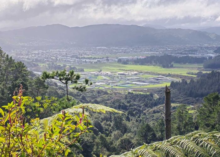  at 183 Blue Mountains Road, Blue Mountains, Upper Hutt, Wellington