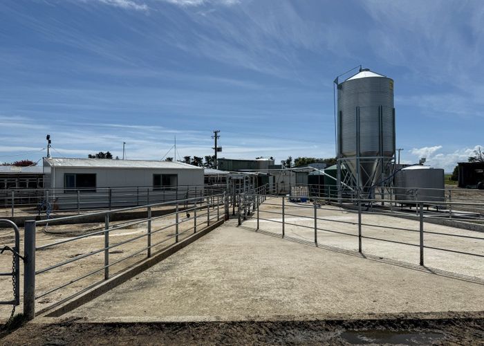  at 403 Island Edendale Road, Wyndham, Southland, Southland