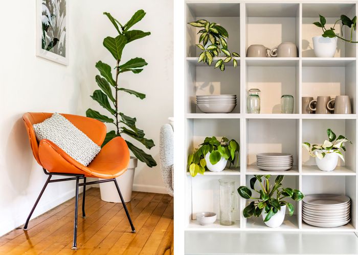  at 3/45 Merani Street, Narrow Neck, Auckland