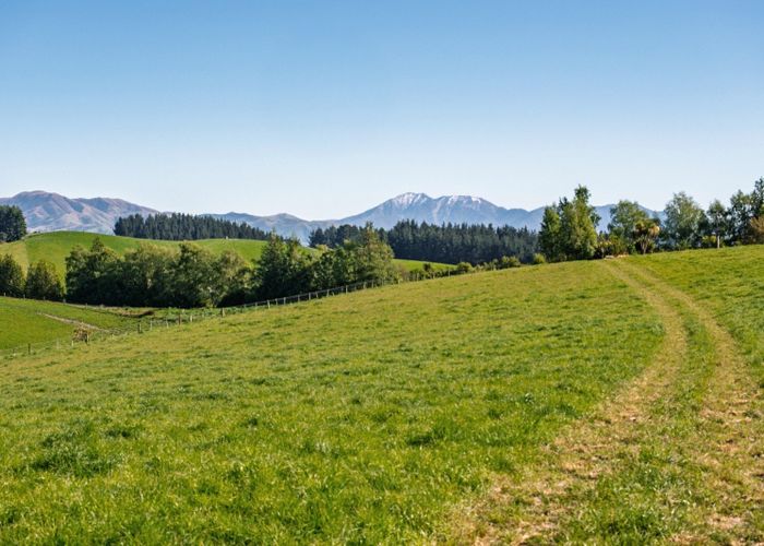  at 285 Greenvale Road, Geraldine, Timaru, Canterbury