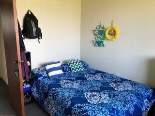  at 70C Insoll Avenue, Enderley, Hamilton