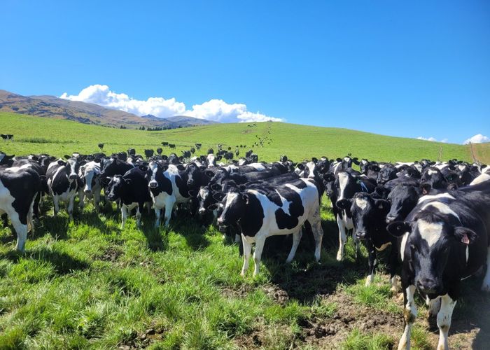  at Wallington Road, Omakau, Central Otago, Otago