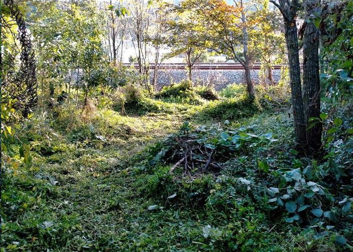  at 49 Handyside Street, Tawa, Wellington