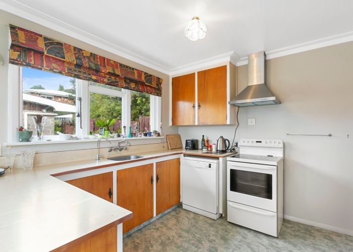  at 158 Evans Street, Opoho, Dunedin
