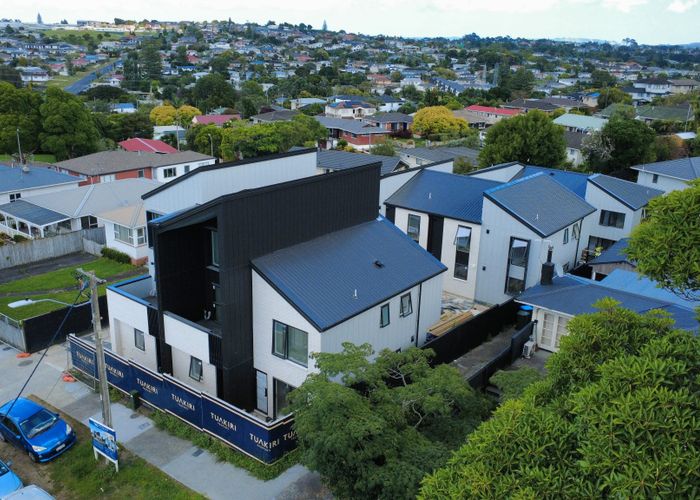  at 253 New Windsor Road, New Windsor, Auckland City, Auckland