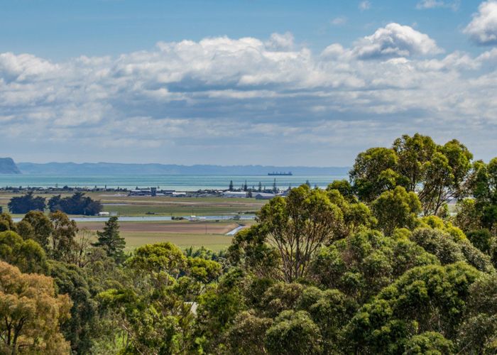  at 164 Puketitiri Road, Poraiti, Napier, Hawke's Bay
