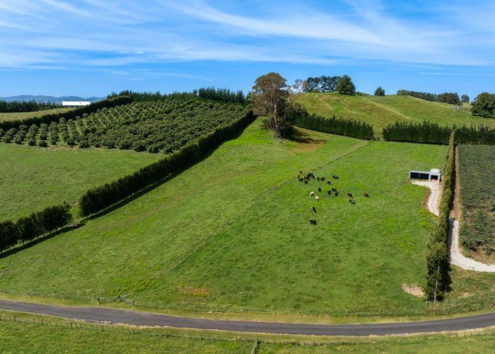  at 449 Crawford Road, Te Puna, Western Bay Of Plenty, Bay Of Plenty