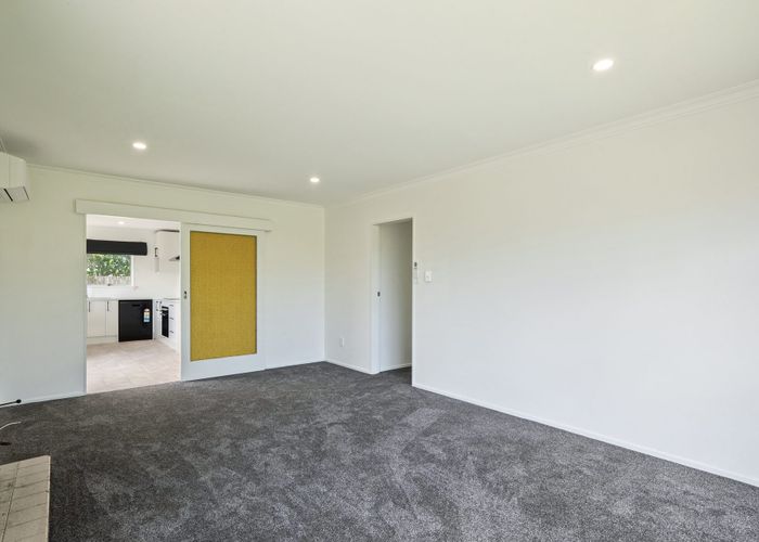  at 22 Heather Street, Levin, Levin