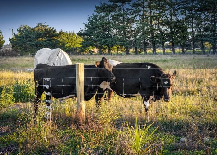  at 527 Browns Rock Road, Burnt Hill, Waimakariri, Canterbury