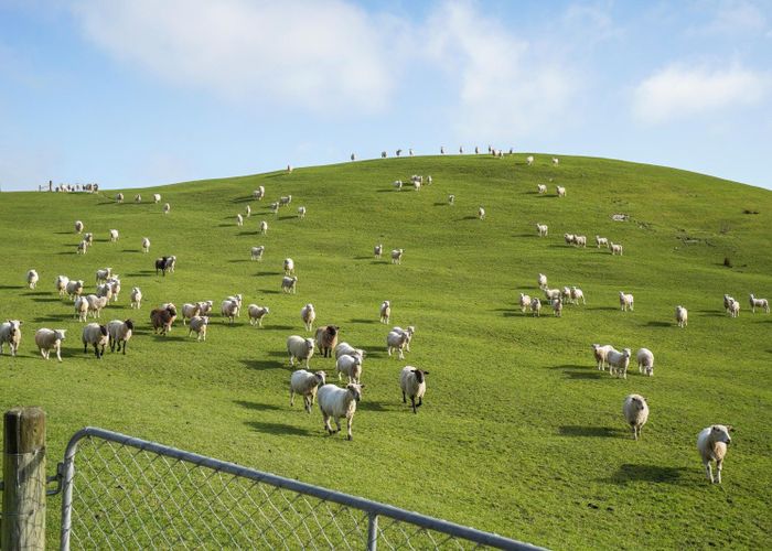  at 782 Glendhu Road, Greta Valley, Hurunui, Canterbury