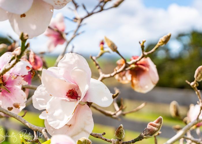  at 33 Nikau Lane, Maungaturoto, Kaipara, Northland
