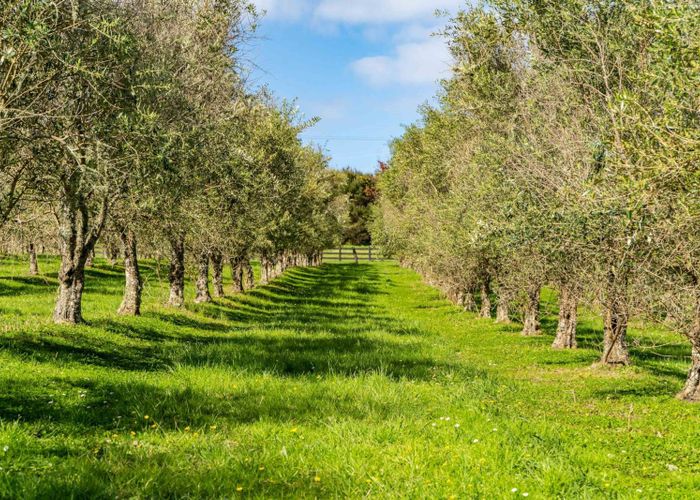  at Lot 1/3 Bagnal Road, Mangawhai, Kaipara, Northland