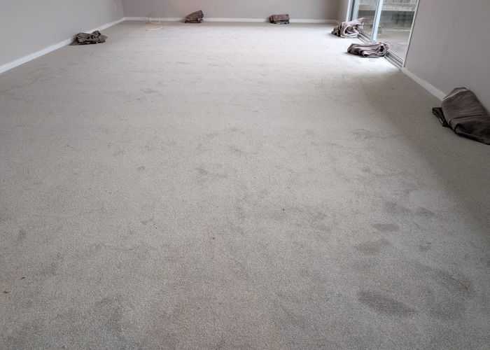  at 3 Camden Place, Pukete, Hamilton, Waikato