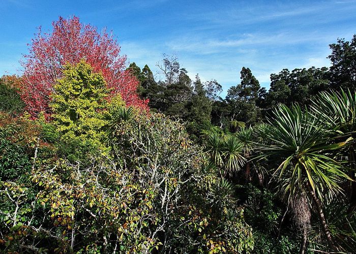  at 2/73 Stott Avenue, Birkdale, North Shore City, Auckland