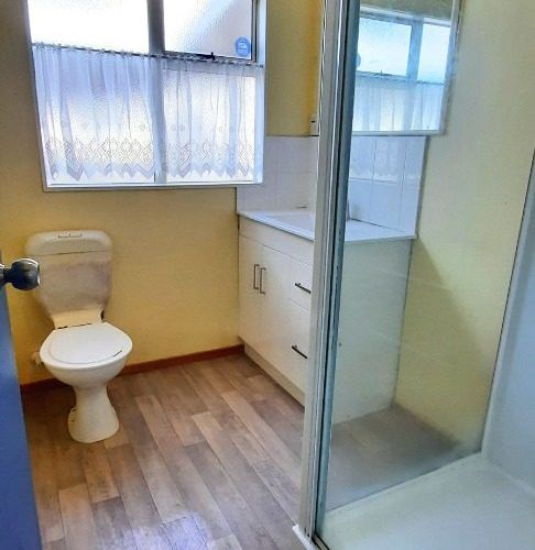  at 19 Fenton Street, Papatoetoe, Manukau City, Auckland