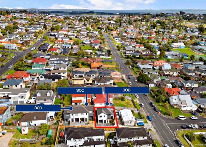  at 30D Rogan Street, Mount Roskill, Auckland City, Auckland