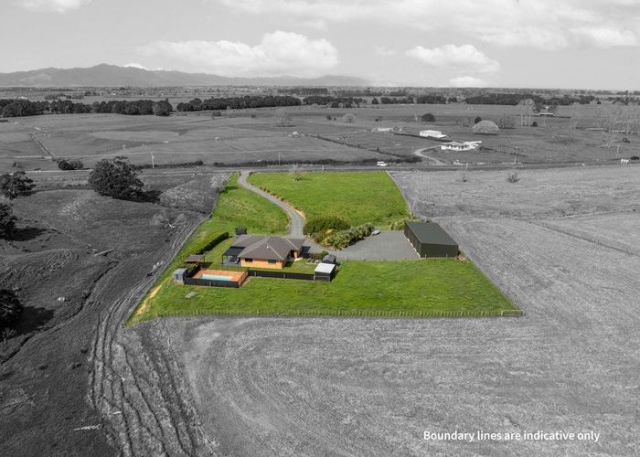  at 1381 Morrinsville-Tahuna Road, Morrinsville