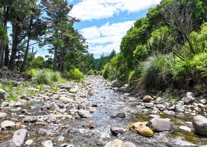  at 150 Puriri Valley Rd, Puriri, Thames