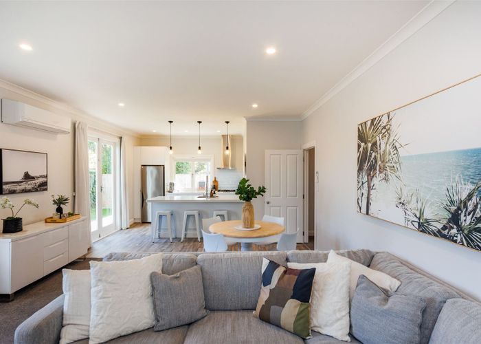  at 101 Limbrick Street, Terrace End, Palmerston North
