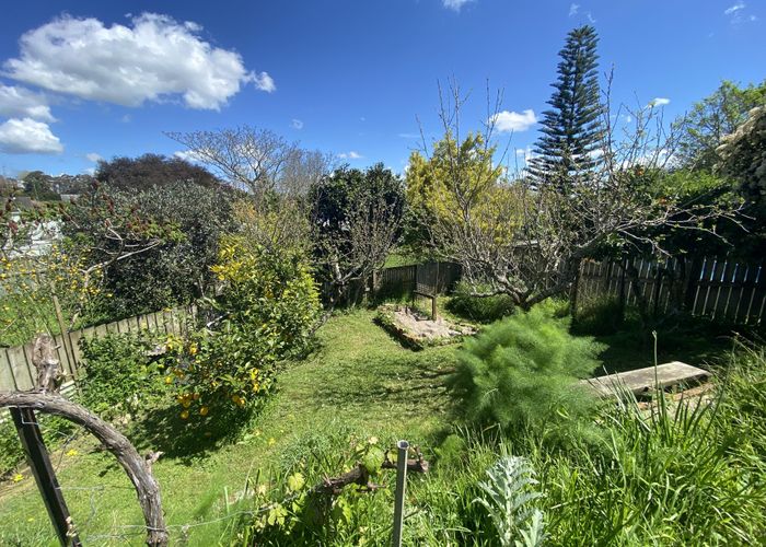  at 29 Bledisloe Terrace (Hayes Paddock), Hamilton East, Hamilton, Waikato