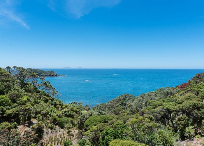  at 50 Dolphin Place, Tutukaka, Whangarei, Northland