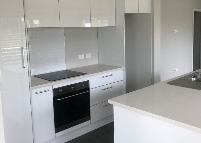 at 47 Tennille Street, Flagstaff, Hamilton, Waikato