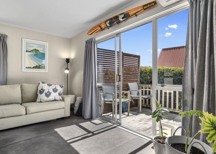  at 101 Laurence Street North, Gate Pa, Tauranga, Bay Of Plenty