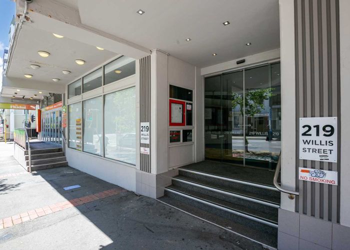  at 219 Willis Street, Te Aro, Wellington, Wellington