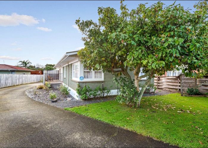  at 25 Richardson Avenue, Pukekohe, Pukekohe