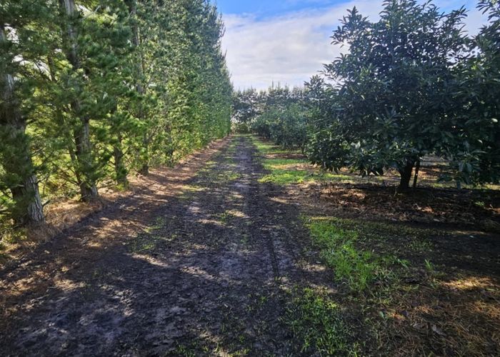  at 0 Heath Road Waiharara, Waiharara, Far North, Northland