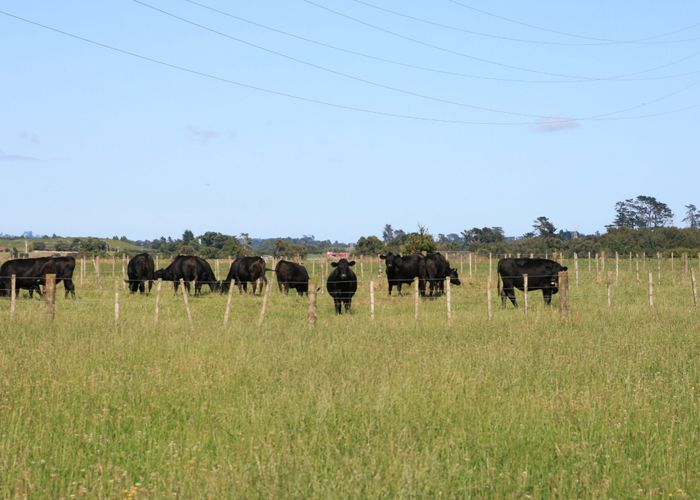  at 550 Mountain Road, Lepperton, New Plymouth, Taranaki