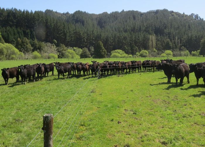 For sale 167 Whenuakura Road, Taumarunui, Ruapehu, Manawatu / Whanganui homes.co.nz