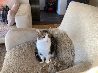  at 136 Leyland Road, Tauranga