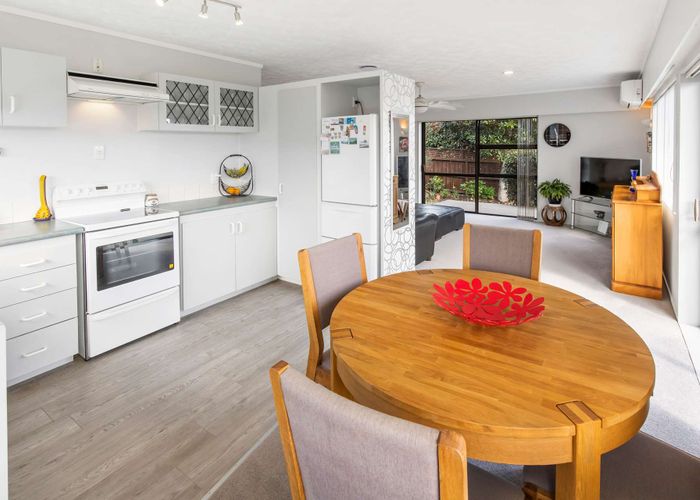  at 15A Hairini Street, Hairini, Tauranga