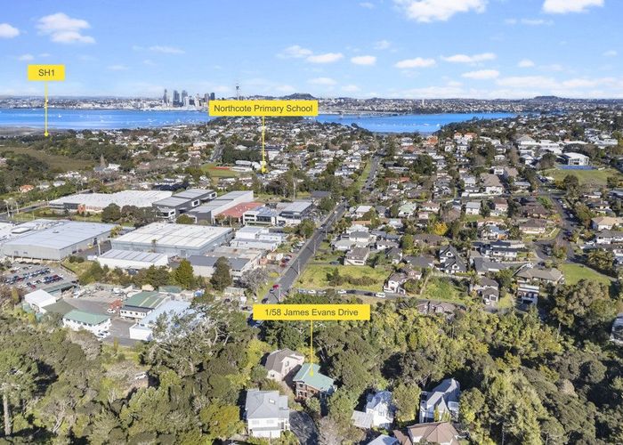  at 1/58 James Evans Drive, Northcote, North Shore City, Auckland