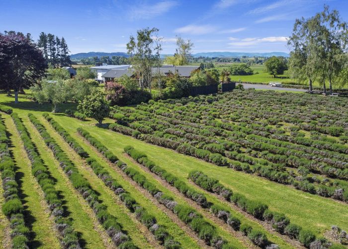  at 169 Brotherhood Road, Kihikihi, Te Awamutu