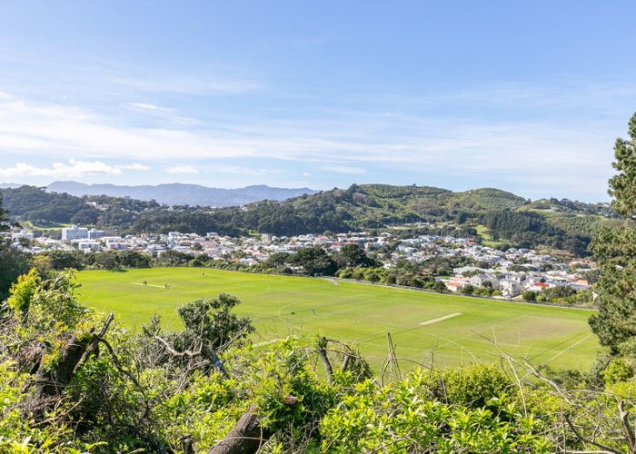  at 64B Balfour Street, Mornington, Wellington, Wellington