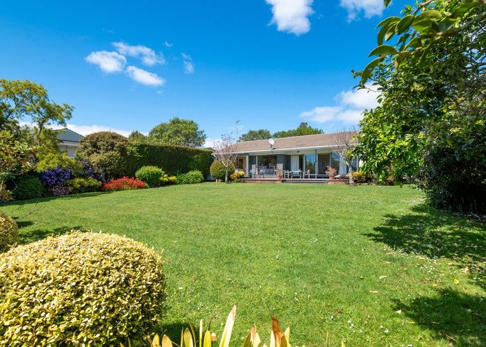  at 8 Terrylyn Drive, Hillcrest, Auckland
