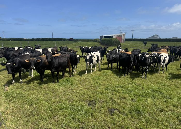  at 4782 South Road, Opunake, South Taranaki, Taranaki