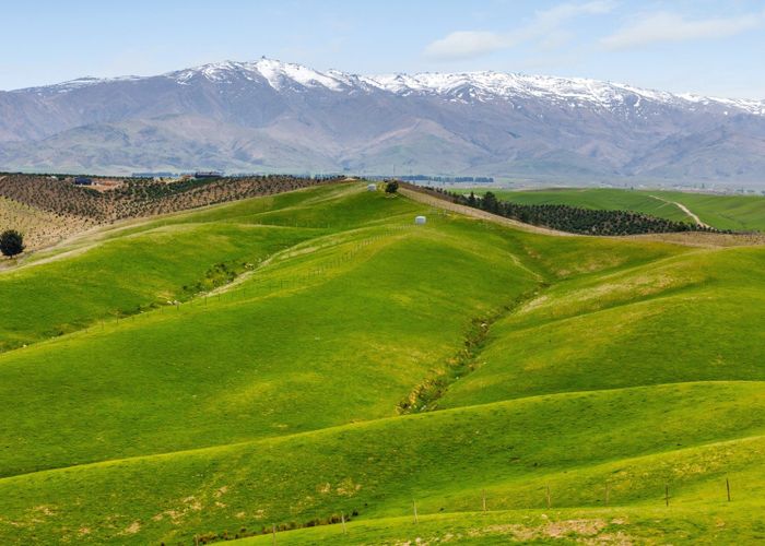  at Springvale Road, Alexandra, Central Otago, Otago