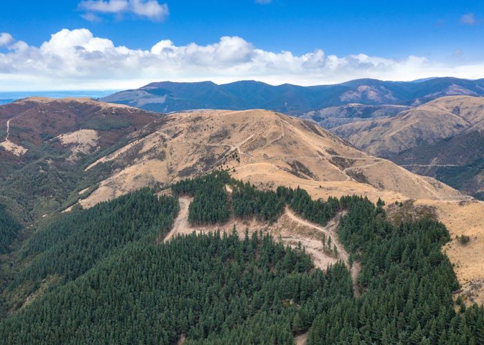  at 561 Taaffes Glen Road, Okuku, Waimakariri, Canterbury