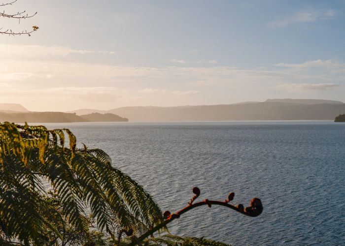  at 364 Maniatutu Road, Rotoiti, Rotorua, Bay Of Plenty
