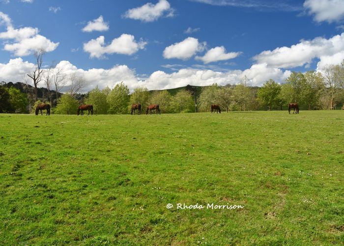  at 726 Paparoa Station Road, Maungaturoto, Maungaturoto